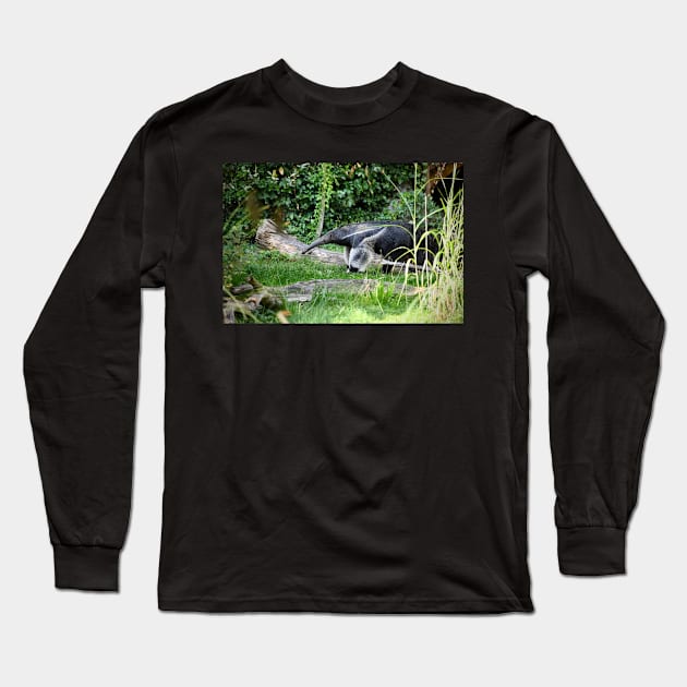 Anteater / Swiss Artwork Photography Long Sleeve T-Shirt by RaphaelWolf